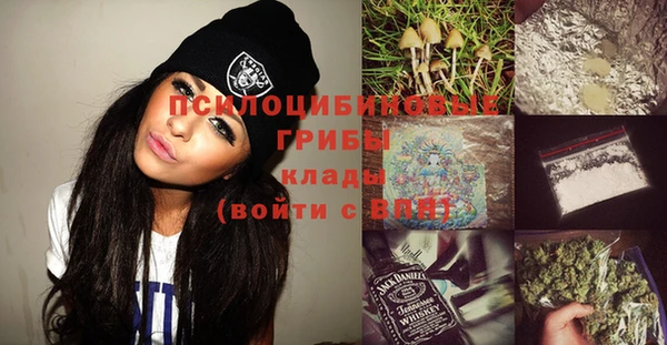 прущие грибы Беслан