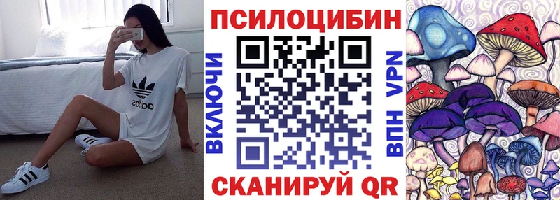 Галлюциногенные грибы Psilocybe  Бахчисарай 