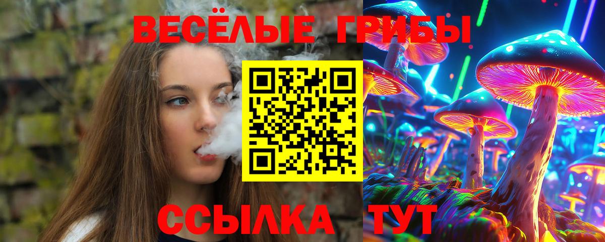Бахчисарай  Псилоцибиновые грибы Magic Shrooms  где купить   Вход с VPN 