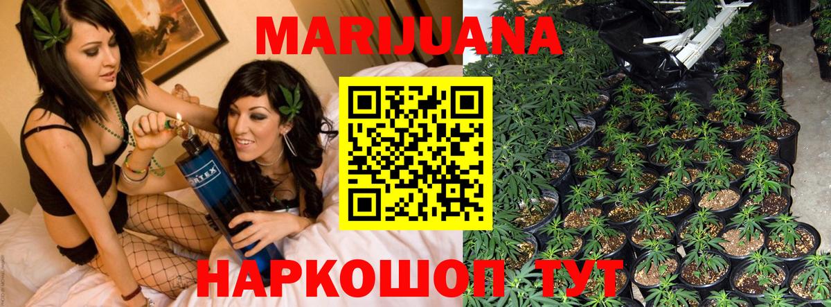 МАРИХУАНА ГИДРОПОН Бахчисарай
